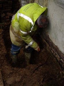 Removing a rotten oak sole plate