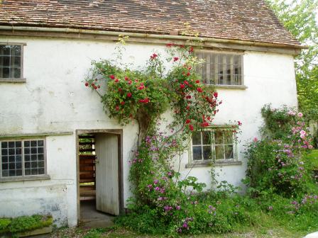 The windows at the kitchen end, as we found them