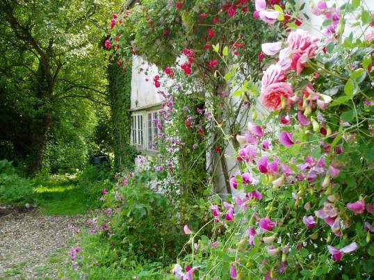 The front door, hidden by flowers - how we first saw it.