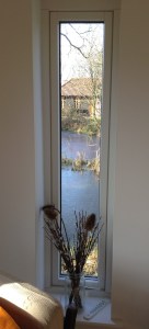 A sideways glimpse of the pond
